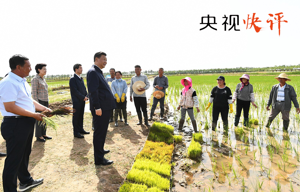 滩子村民委员会现代化交通新篇章，最新交通新闻更新