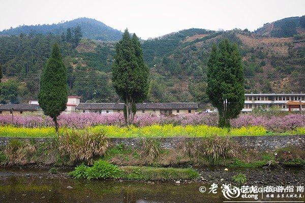 九峰村新项目启动，乡村振兴新篇章开启