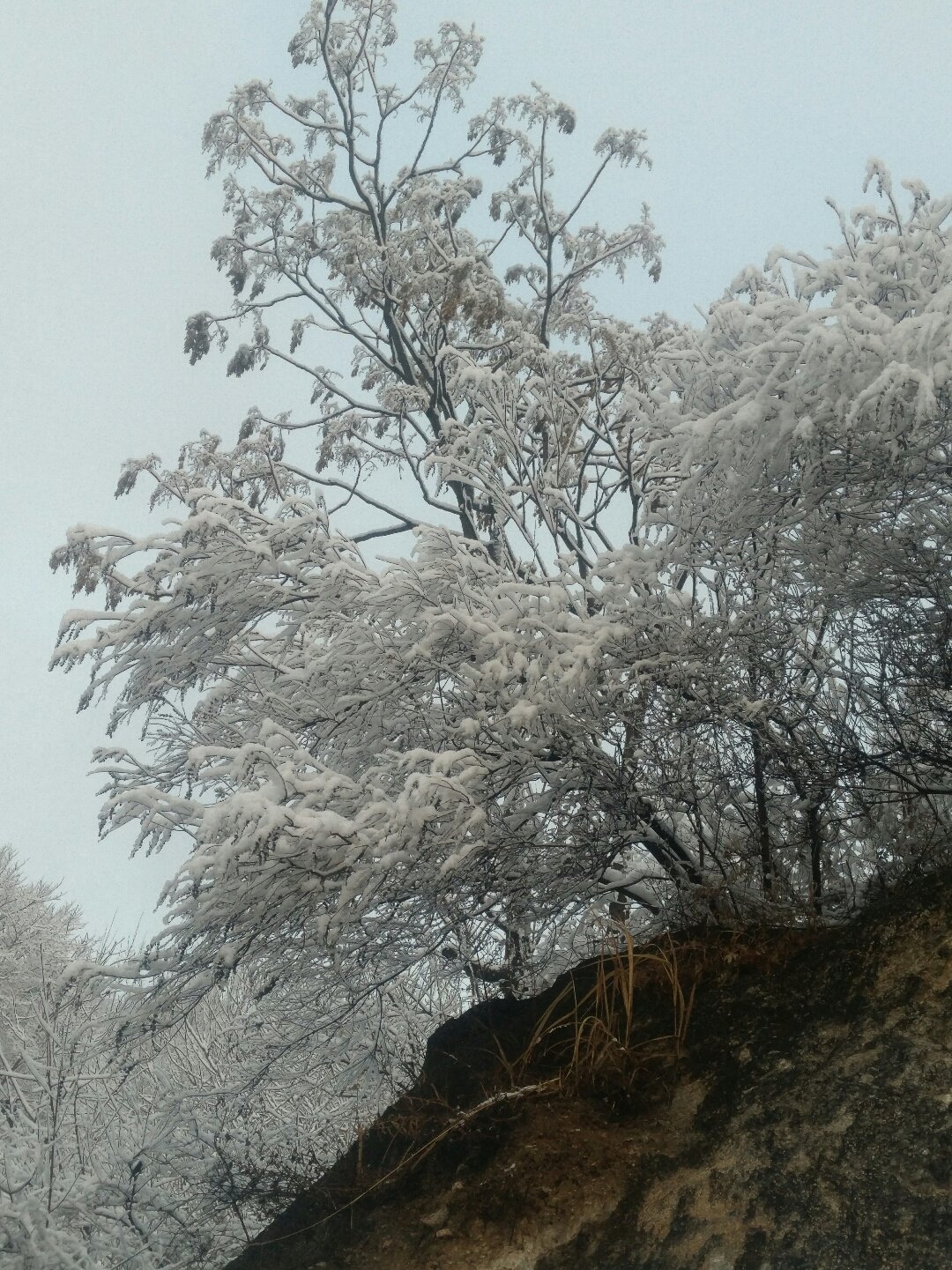 寨头乡天气预报更新通知