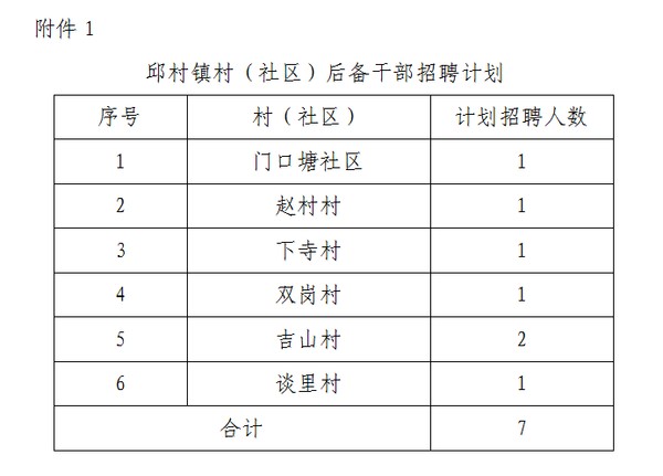 德胜前村委会最新招聘概览