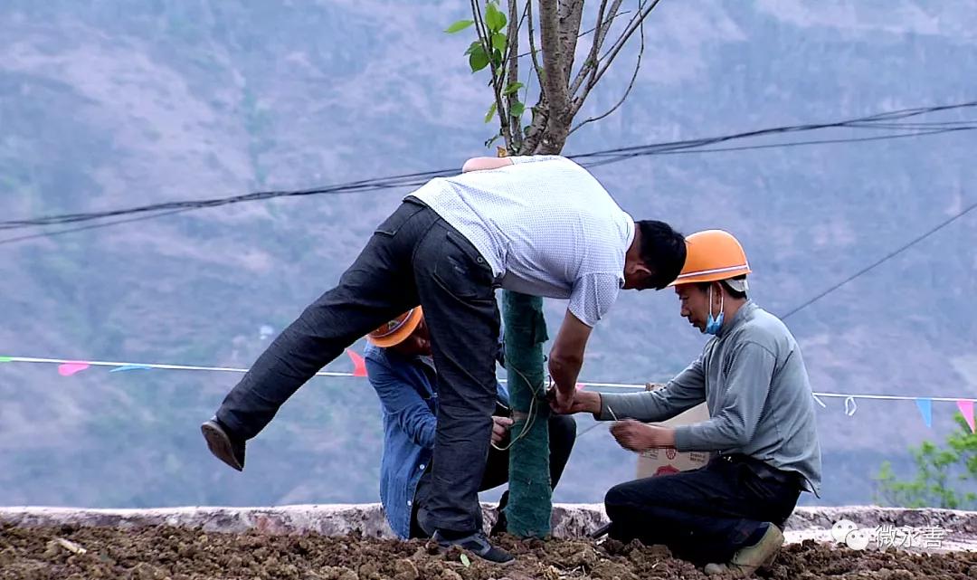 滨江区级公路维护监理事业单位发展规划展望