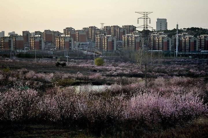 桃花社区交通优化新闻，提升居民出行体验，打造便捷交通网络