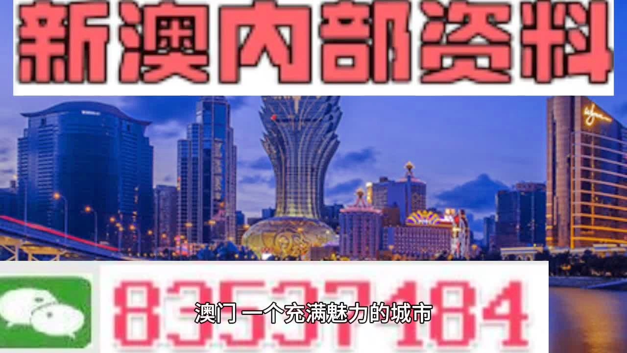 新澳门今日精准四肖,时代说明评估_完整版75.377