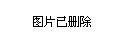 2024年12月6日 第13页