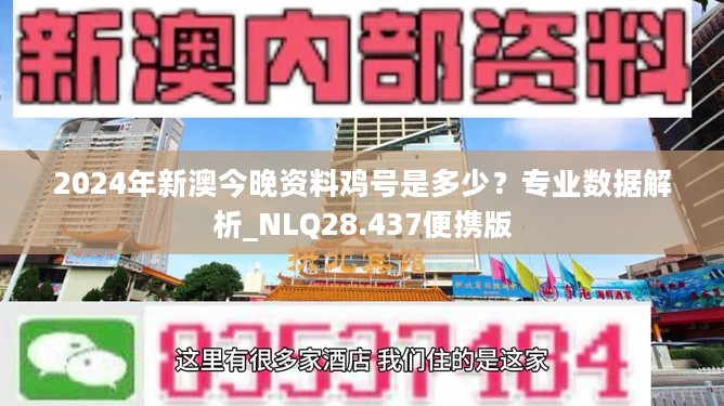 2024新澳今晚资料鸡号几号,权威诠释方法_nShop38.118