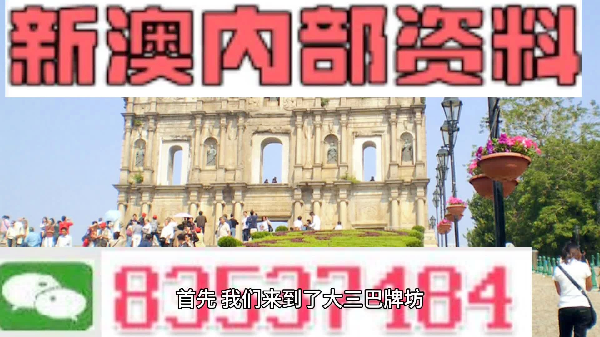 2024澳门天天彩期期精准,广泛的关注解释落实热议_Android256.183