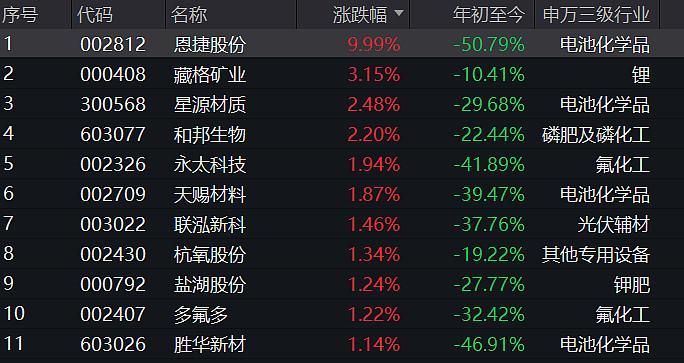 2024年12月8日 第51页