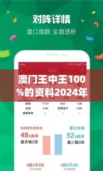 2024新澳门王中王正版,数据设计支持计划_WP版55.261