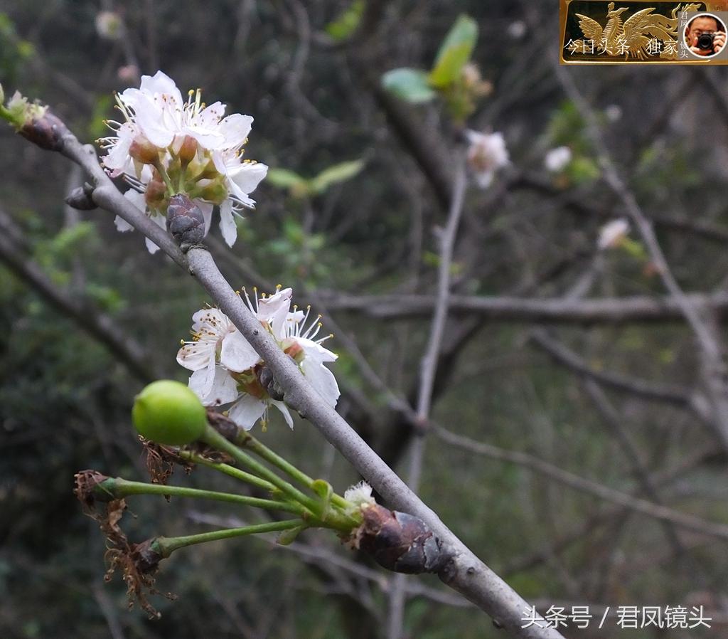 黄花乡新领导引领下的新气象