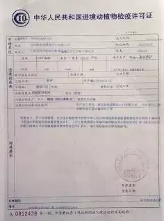 涟源市防疫检疫站人事任命揭晓，新任领导及其深远影响力