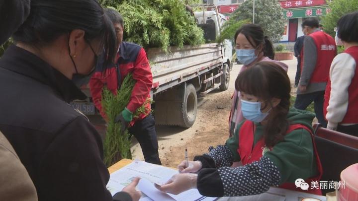 二龙山林场交通更新，通往绿色宝库的道路愈发便捷