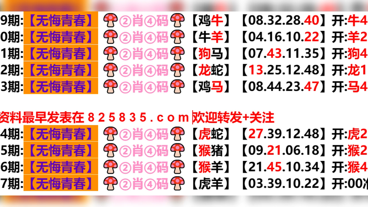 2024新奥门天天开好彩大全85期,全面执行数据计划_顶级版80.450