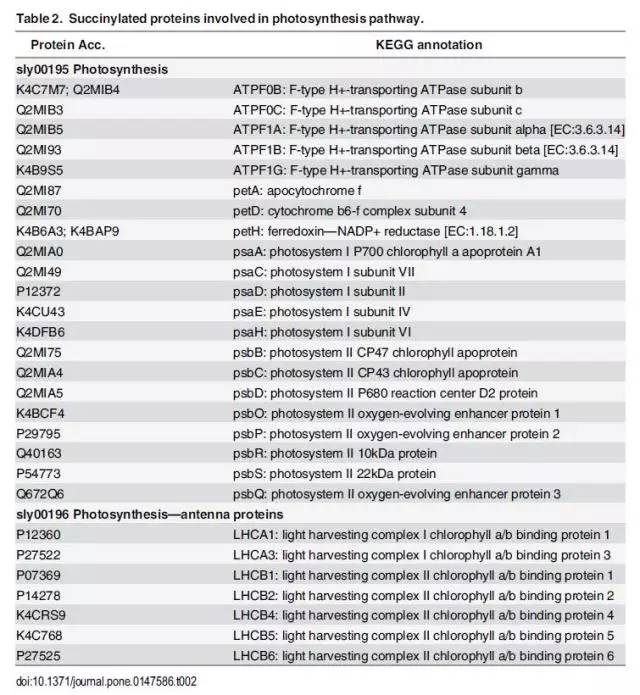 2024新澳免费资料大全penbao136,精细化方案实施_精装款98.889