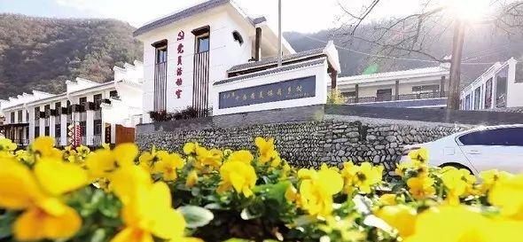 陈家崖湾村委会最新动态报道