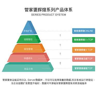 新澳门管家婆一句,精细解析评估_Surface51.290