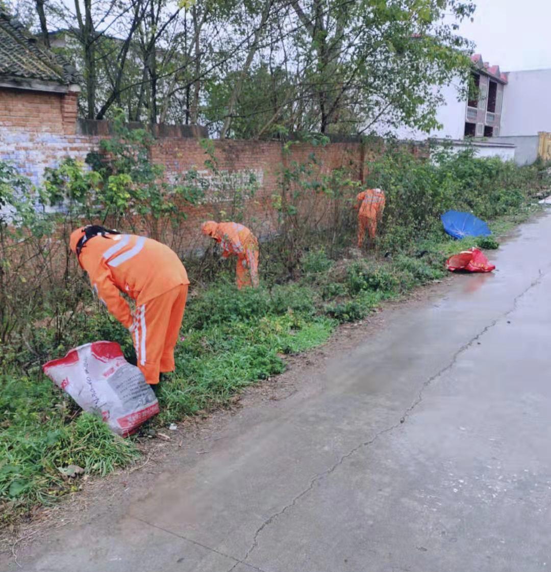 镇平县卫生健康局最新动态报道