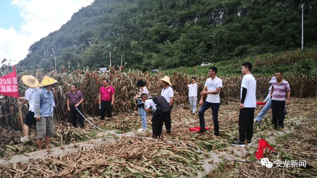 兴山县农业农村局新项目推动农业现代化，乡村振兴再添新动力