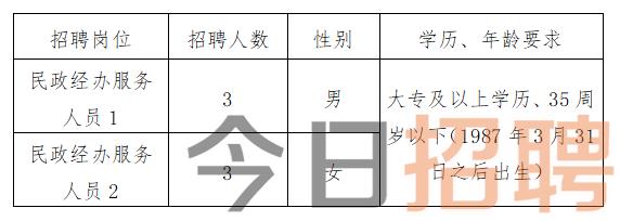 吴川市人力资源和社会保障局招聘最新信息概览