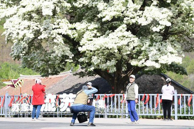 苏家村民委员会领导团队全新概况