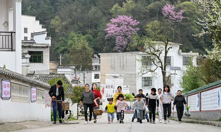 龙潭乡龙山镇最新动态及其影响综述